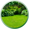 eco img 6 Filtre planté agréé, jardin d’assainissement